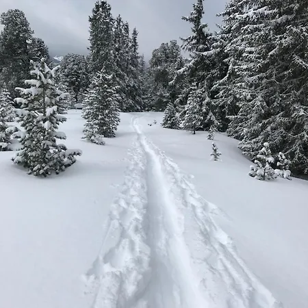 Сasa de vacaciones Alpenblick De Luxe *