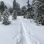 Ferienhaus Alpenblick De Luxe *