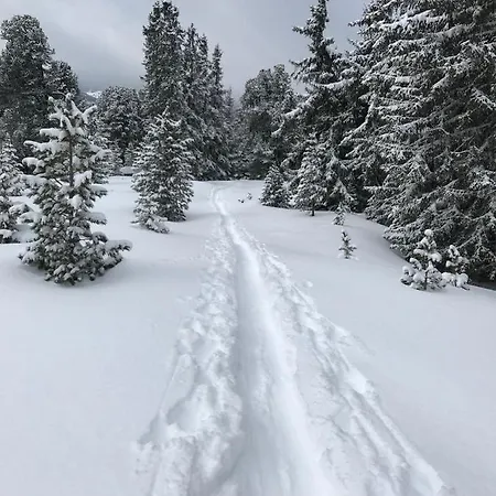 Daire Alpenblick De Luxe Oetz