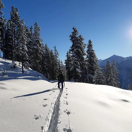 Alpenblick De Luxe Ferienhaus