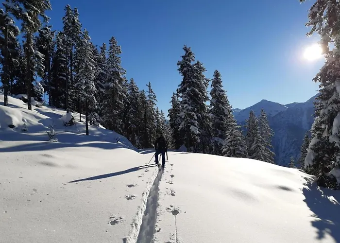 Alpenblick De Luxe *