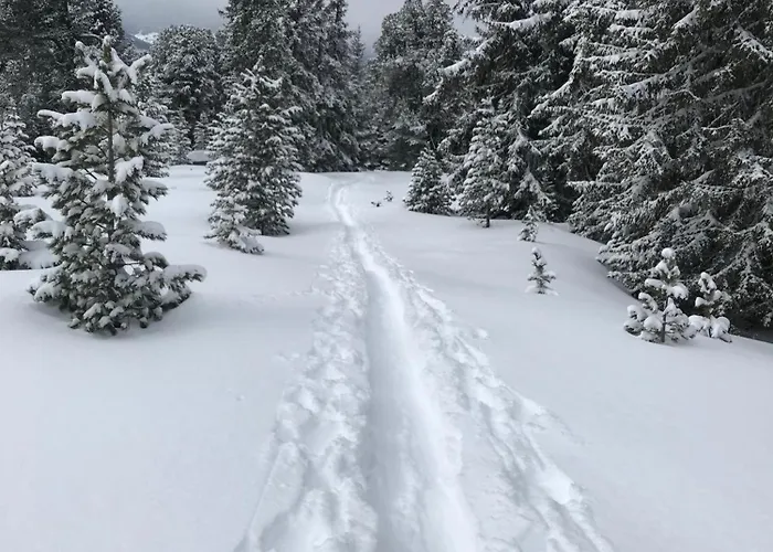 Casa vacanze Alpenblick De Luxe *